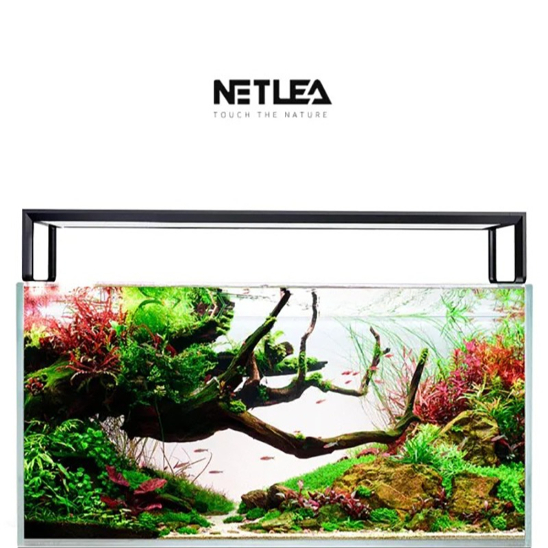 Netlea AT5S V3 Inteligentne Oś – Wifi Led Dimmer recenzja i cena